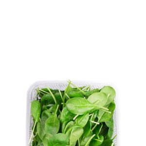 Baby Spinach - 图片 4