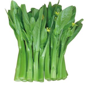 油菜花